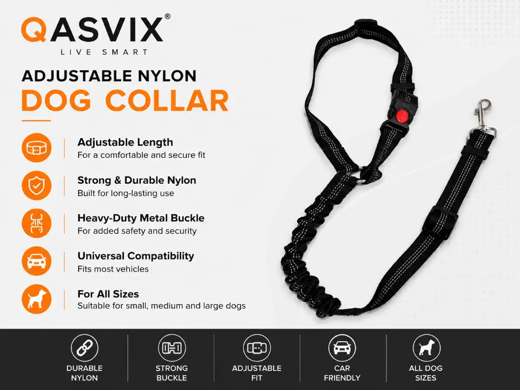 Belt info
