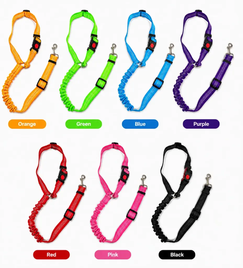 Belt Colours